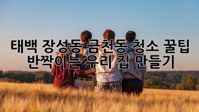 태백 장성동 금천동 청소 꿀팁🍯: ✨반짝이는 우리 집 만들기✨