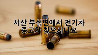 서산 부석면에서 전기차 중고차 찾으시나요?