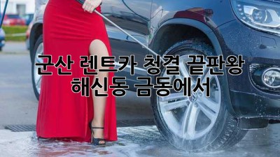 ✨ 군산 렌트카 청결 끝판왕! 해신동 금동에서 ✨